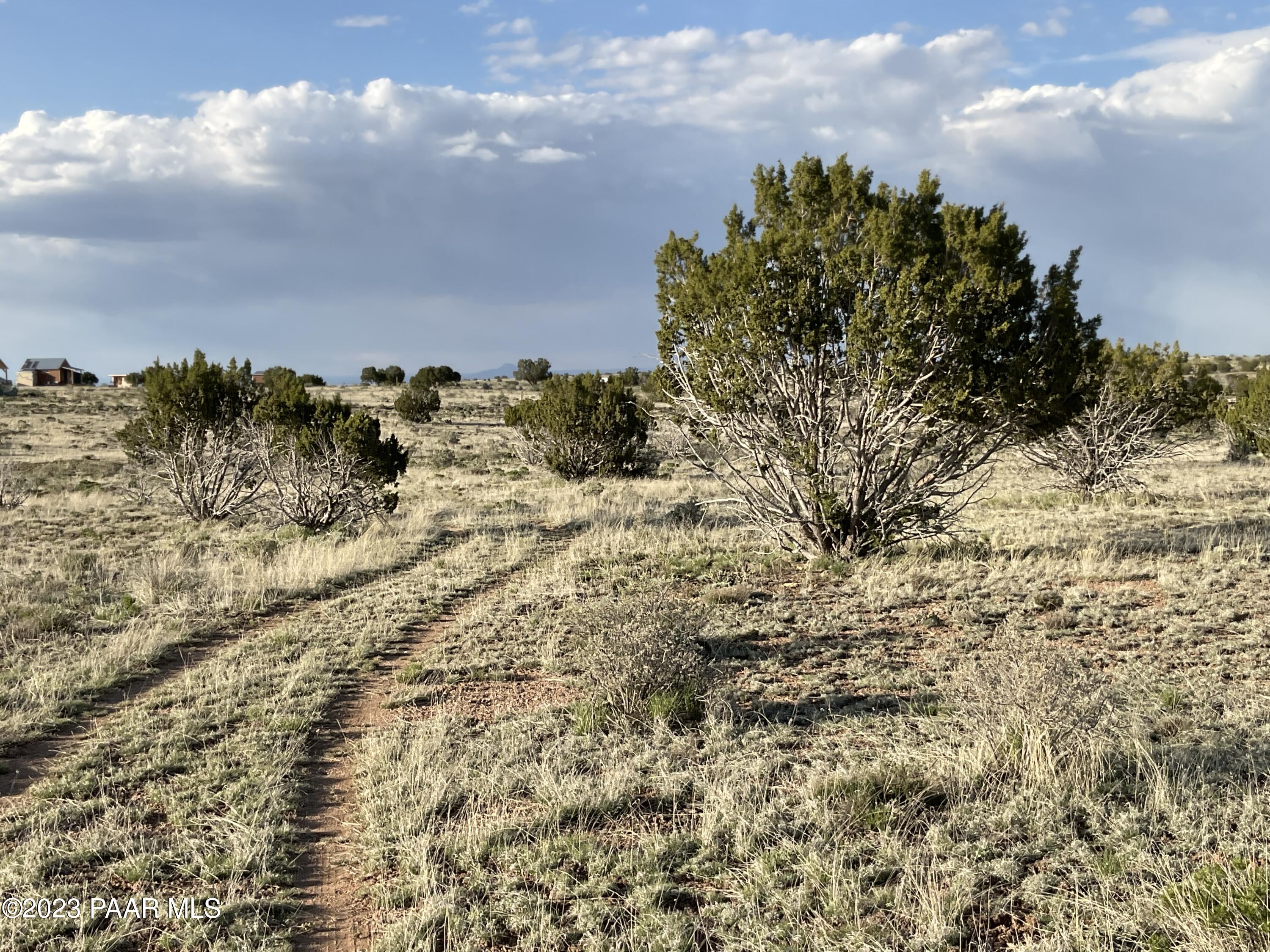 3672 West Singletree Road Williams, AZ 86046 - Photo 8 of 13 IMG_1528