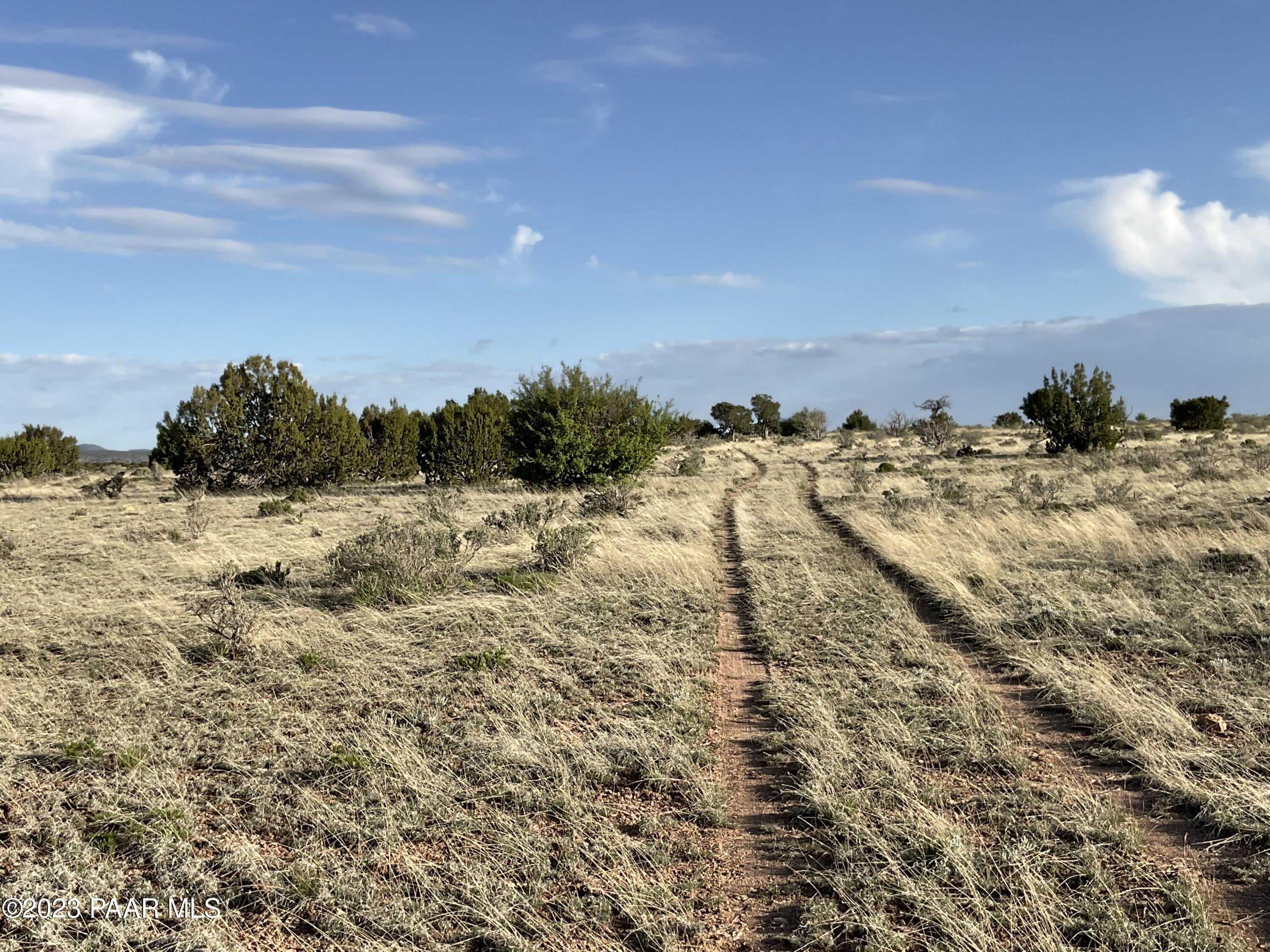 3672 West Singletree Road Williams, AZ 86046 - Photo 9 of 13 IMG_1529