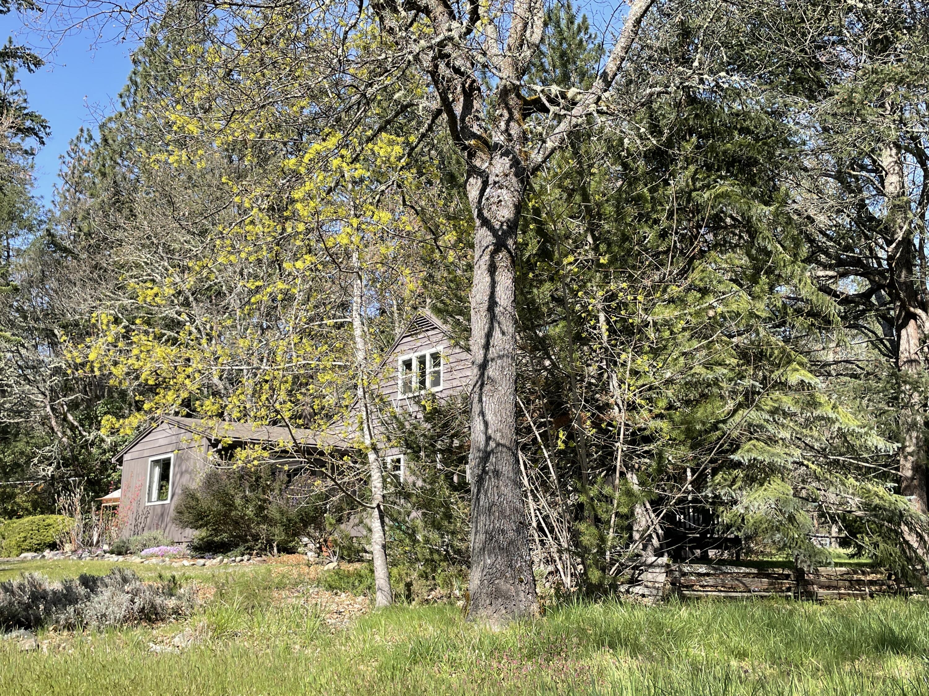 8000 Upper Applegate Road Jacksonville, OR 97530 - Photo 46 of 76 IMG_1638 2