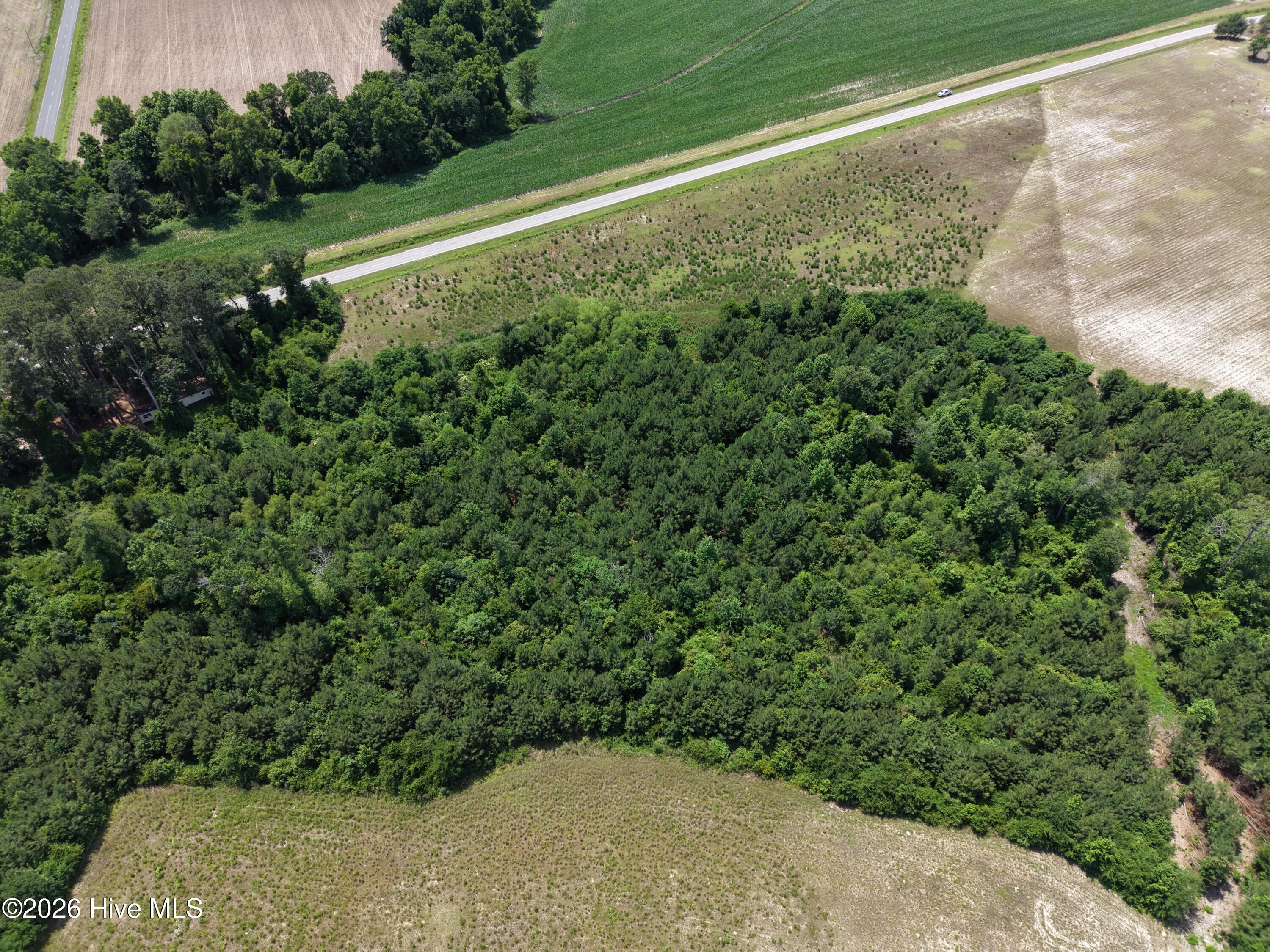 Lot 2 Bass Lake Road Clinton, NC 28328 - Photo 6 of 13