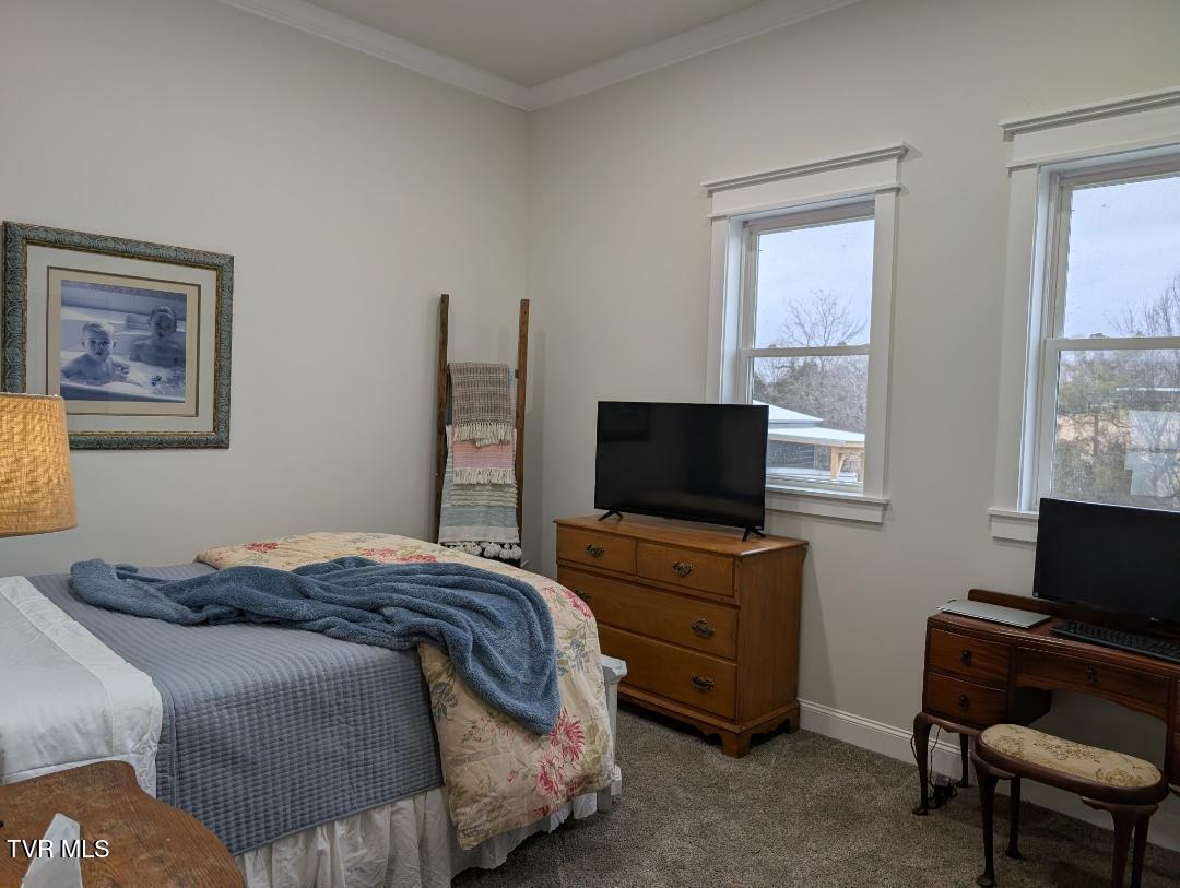 780 Bright Hope Road Greeneville, TN 37743 - Photo 73 of 74 thumbnail (1)