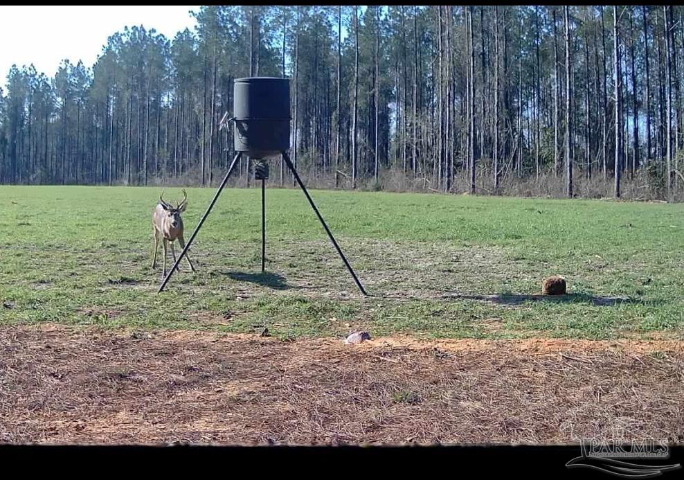 6950 Luth Road Molino, FL 32577 - Photo 19 of 22 Gallery Image 19
