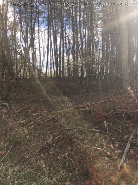 0 Gunville Ridge Road Leon, WV 25123 - Photo 4 of 11 Gallery Image 4