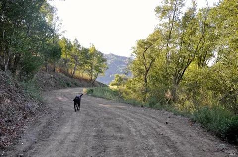 $19,000,000 | 128 Ridgecrest Road, Kentfield, CA 94904