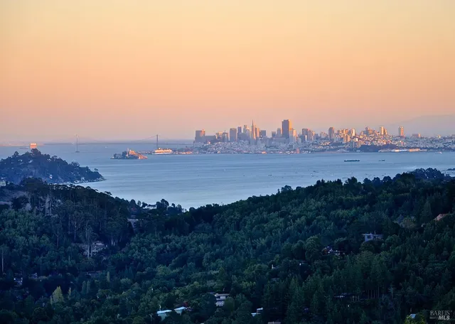 an aerial view of mountain and tree