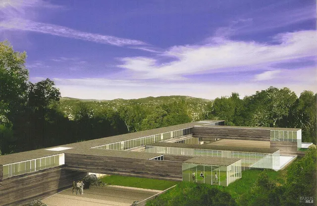 a view of a forest with trees in the background