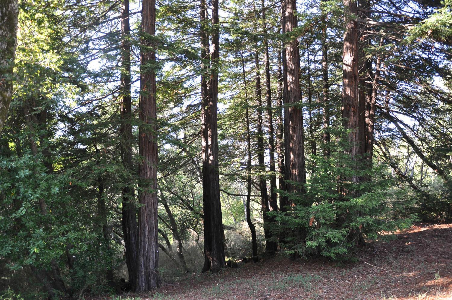 128 Ridgecrest Road Kentfield, CA 94904 - Photo 39 of 43