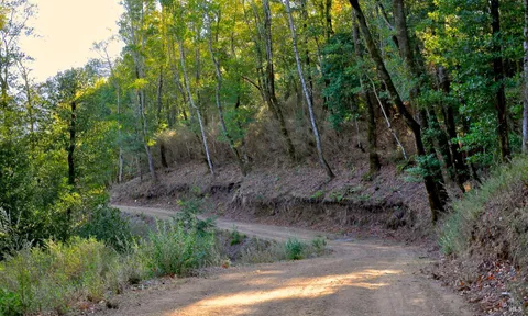 $19,000,000 | 128 Ridgecrest Road, Kentfield, CA 94904