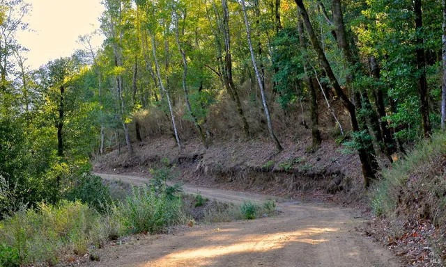 $19,000,000 | 128 Ridgecrest Road, Kentfield, CA 94904