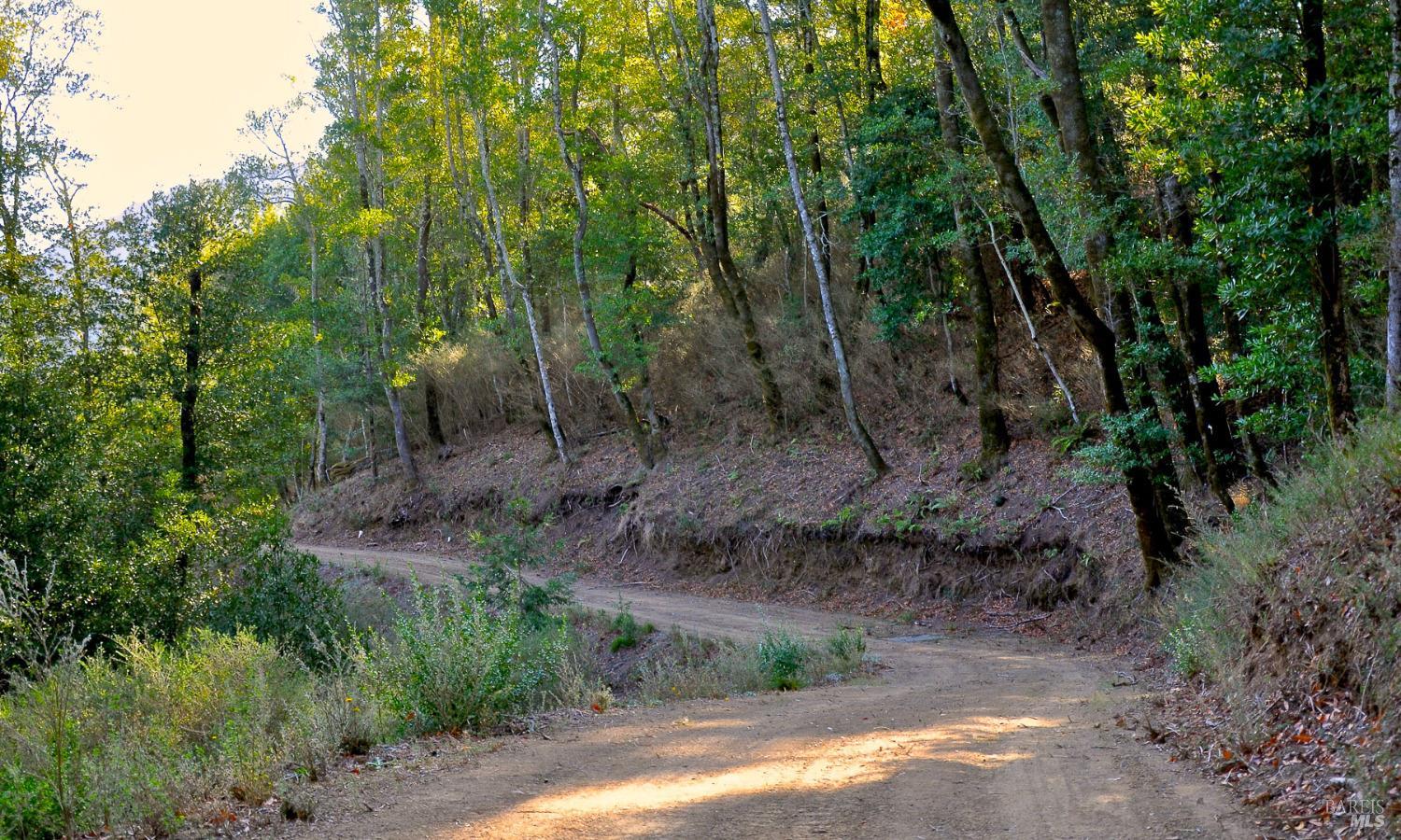 128 Ridgecrest Road Kentfield, CA 94904 - Photo 47 of 69