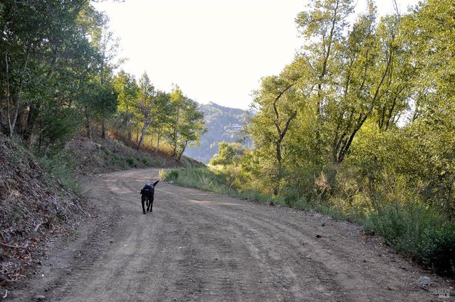 $19,000,000 | 128 Ridgecrest Road, Kentfield, CA 94904