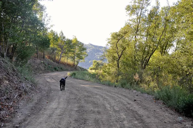 $19,000,000 | 128 Ridgecrest Road, Kentfield, CA 94904