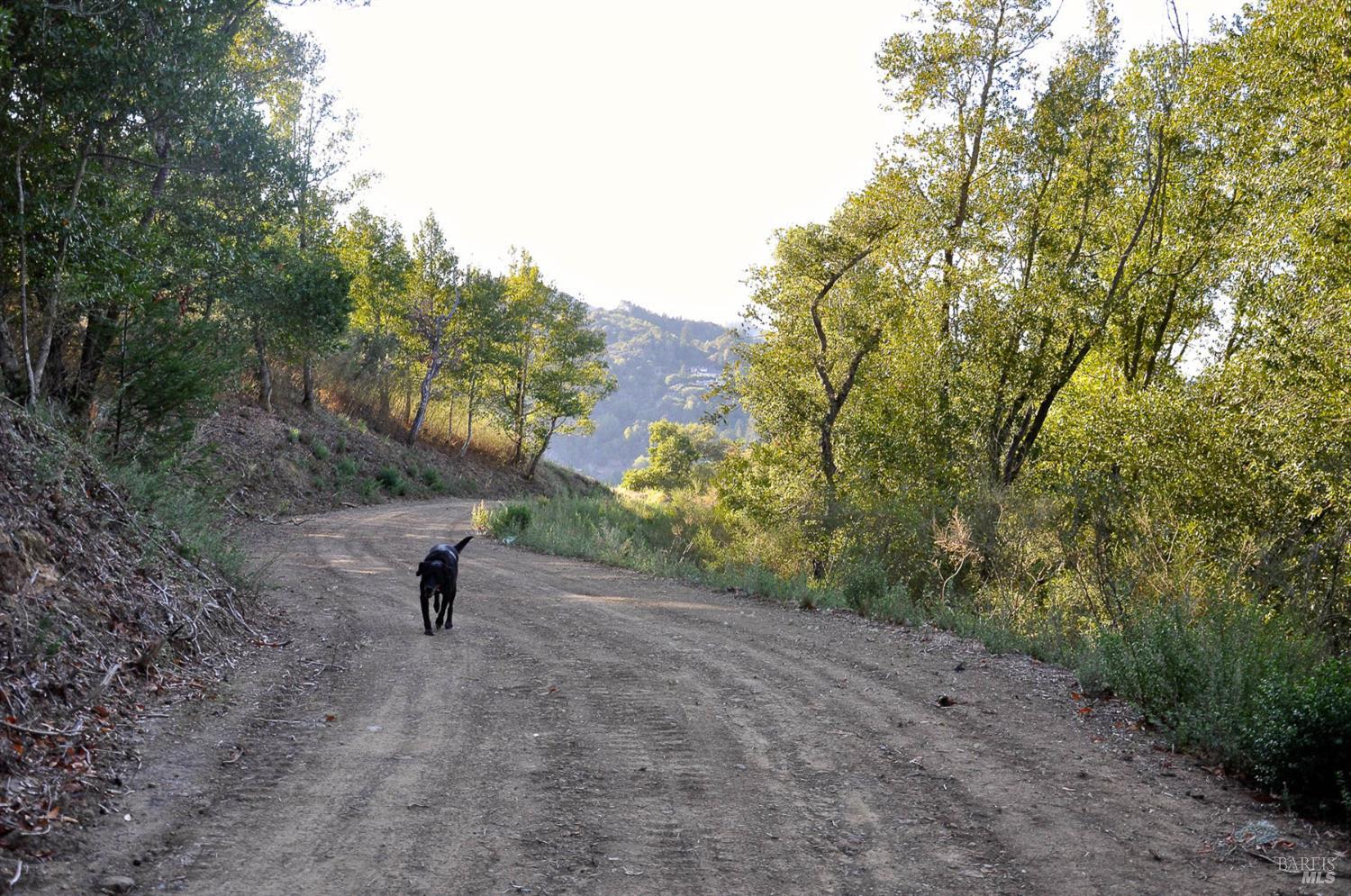 128 Ridgecrest Road Kentfield, CA 94904 - Photo 48 of 69