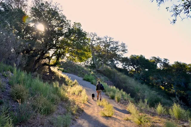 $19,000,000 | 128 Ridgecrest Road, Kentfield, CA 94904