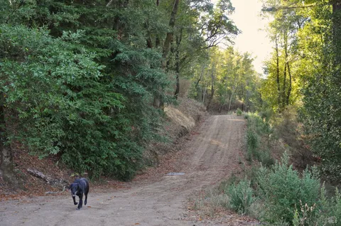 $19,000,000 | 128 Ridgecrest Road, Kentfield, CA 94904