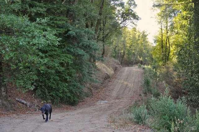 $19,000,000 | 128 Ridgecrest Road, Kentfield, CA 94904