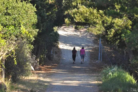 $19,000,000 | 128 Ridgecrest Road, Kentfield, CA 94904