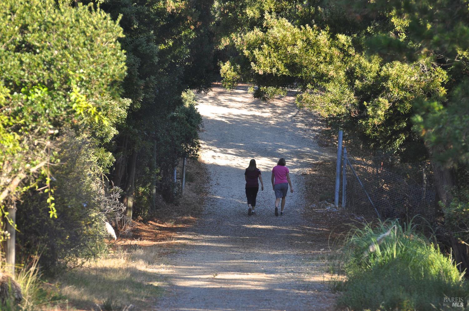 128 Ridgecrest Road Kentfield, CA 94904 - Photo 52 of 69