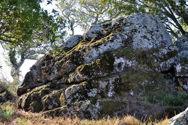 $19,000,000 | 128 Ridgecrest Road, Kentfield, CA 94904