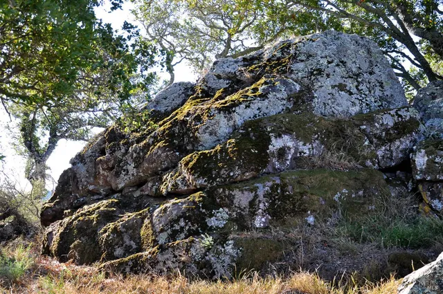 $19,000,000 | 128 Ridgecrest Road, Kentfield, CA 94904