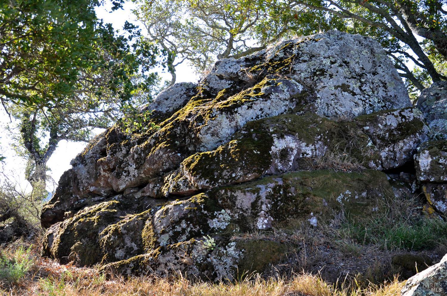 128 Ridgecrest Road Kentfield, CA 94904 - Photo 54 of 69