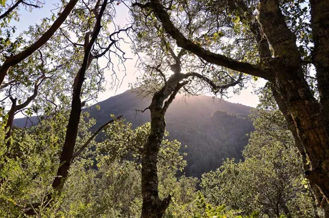 $19,000,000 | 128 Ridgecrest Road, Kentfield, CA 94904