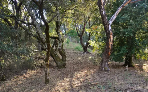 $19,000,000 | 128 Ridgecrest Road, Kentfield, CA 94904