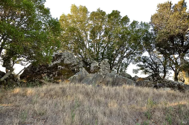 $19,000,000 | 128 Ridgecrest Road, Kentfield, CA 94904