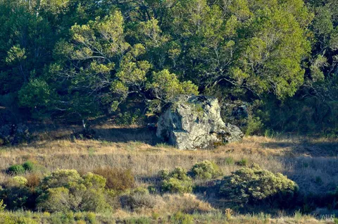 $19,000,000 | 128 Ridgecrest Road, Kentfield, CA 94904