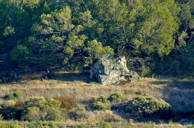 $19,000,000 | 128 Ridgecrest Road, Kentfield, CA 94904