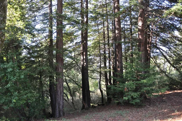 $19,000,000 | 128 Ridgecrest Road, Kentfield, CA 94904