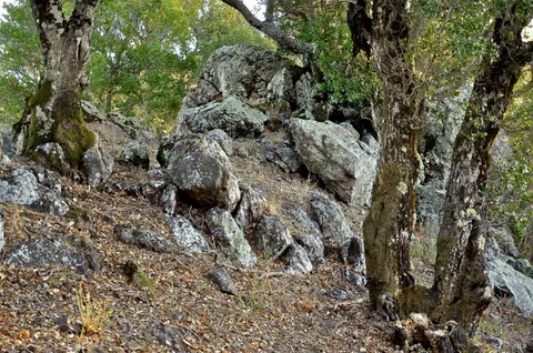 $19,000,000 | 128 Ridgecrest Road, Kentfield, CA 94904