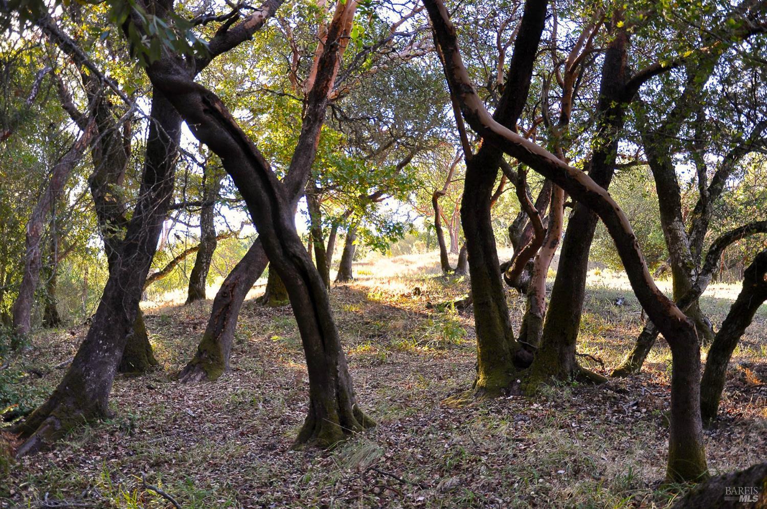 128 Ridgecrest Road Kentfield, CA 94904 - Photo 66 of 69