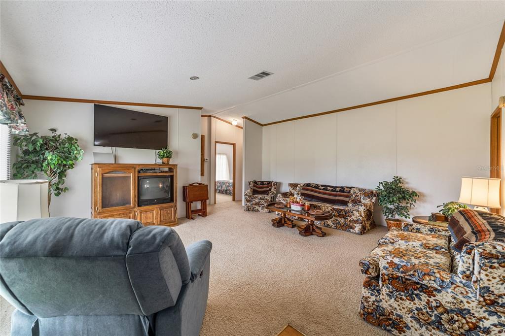 17176 North US Highway 441 Reddick, FL 32686 - Photo 23 of 42 a living room with furniture fireplace and flat screen tv