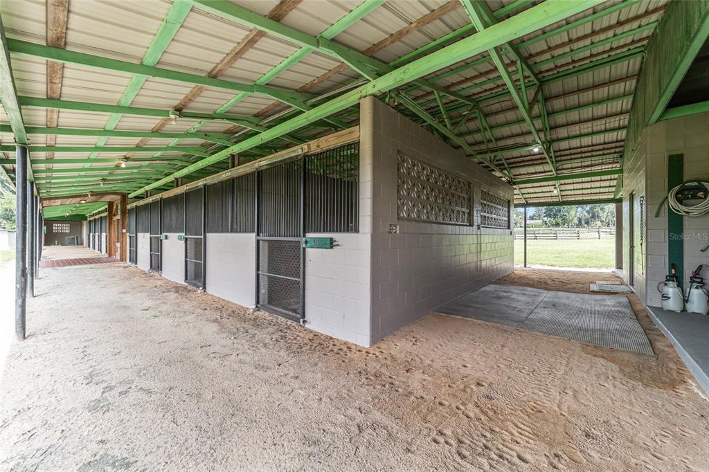 17176 North US Highway 441 Reddick, FL 32686 - Photo 34 of 42 a view of backyard and porch
