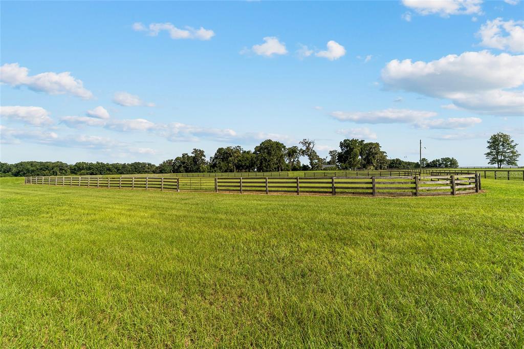 17176 North US Highway 441 Reddick, FL 32686 - Photo 40 of 42 a view of a golf course with a lake