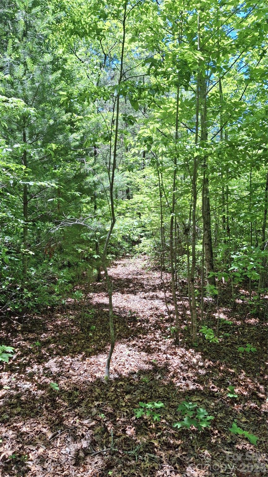 272 Kako Ridge, Unit 64 Sylva, NC 28779 - Photo 9 of 15