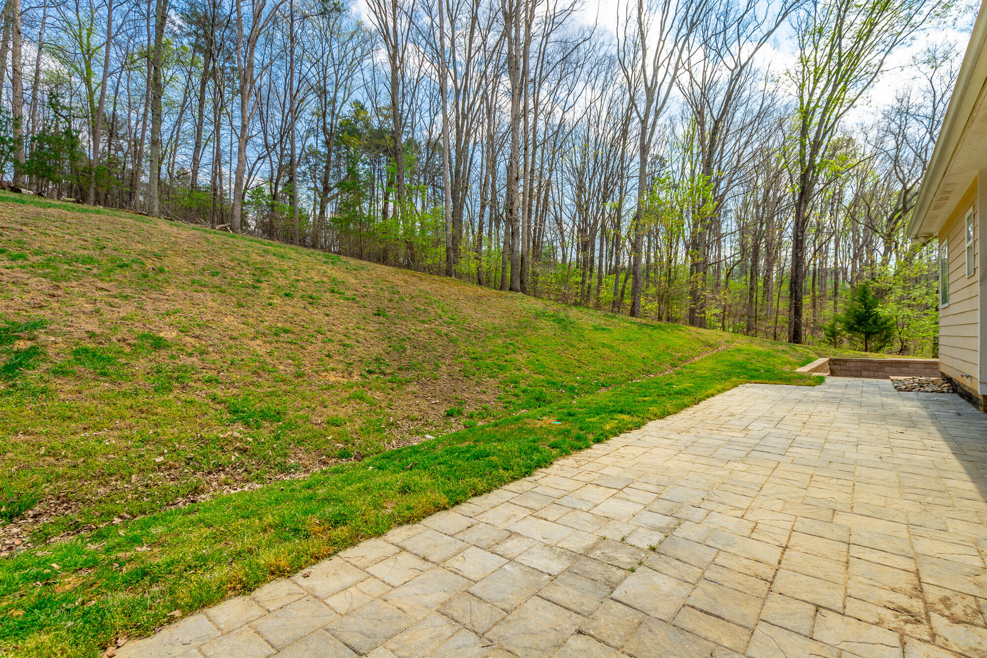 9768 Caseview Drive Harrison, TN 37341 - Photo 79 of 96 9768 Caseview Drive HD-142