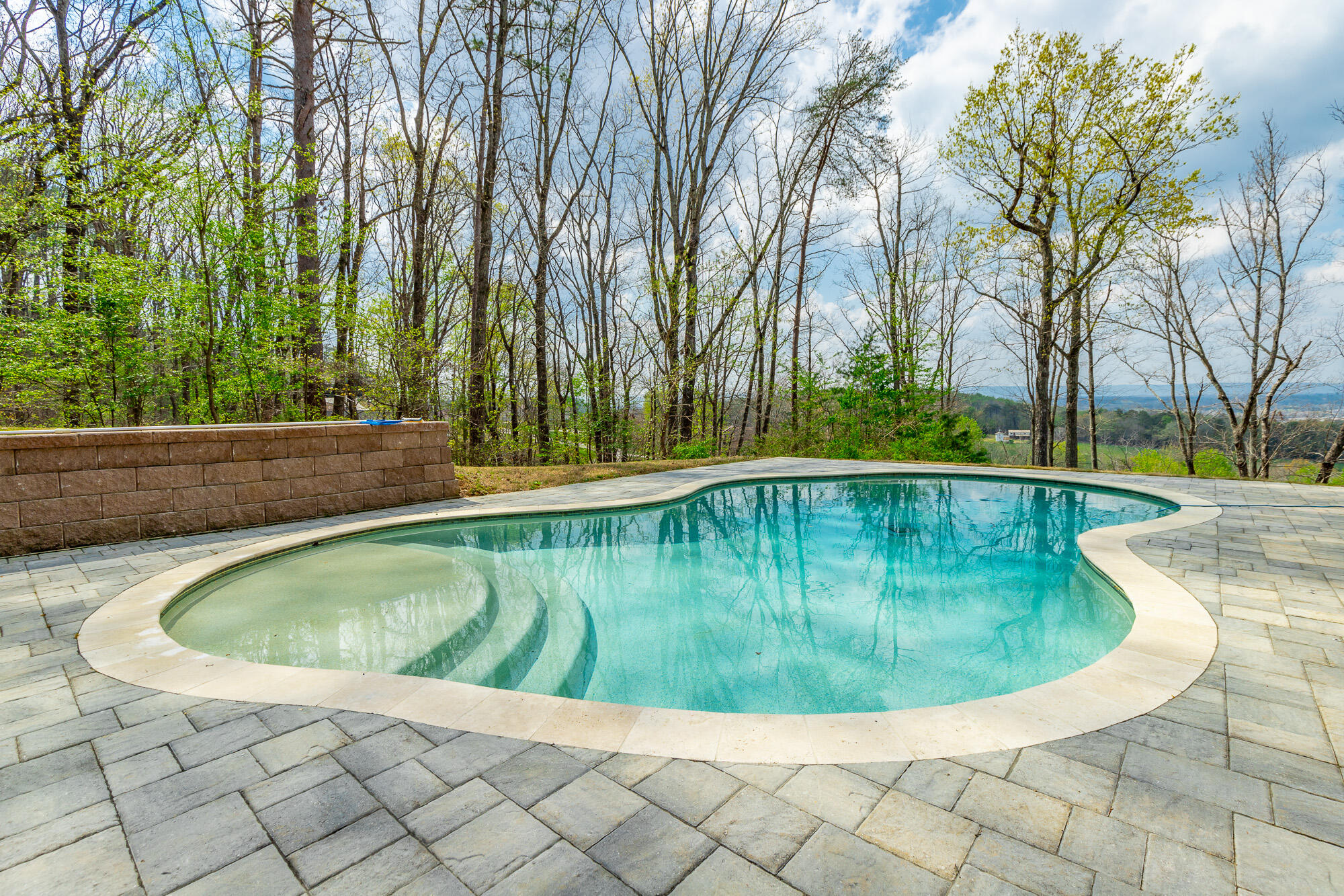 9768 Caseview Drive Harrison, TN 37341 - Photo 83 of 96 9768 Caseview Drive HD-138