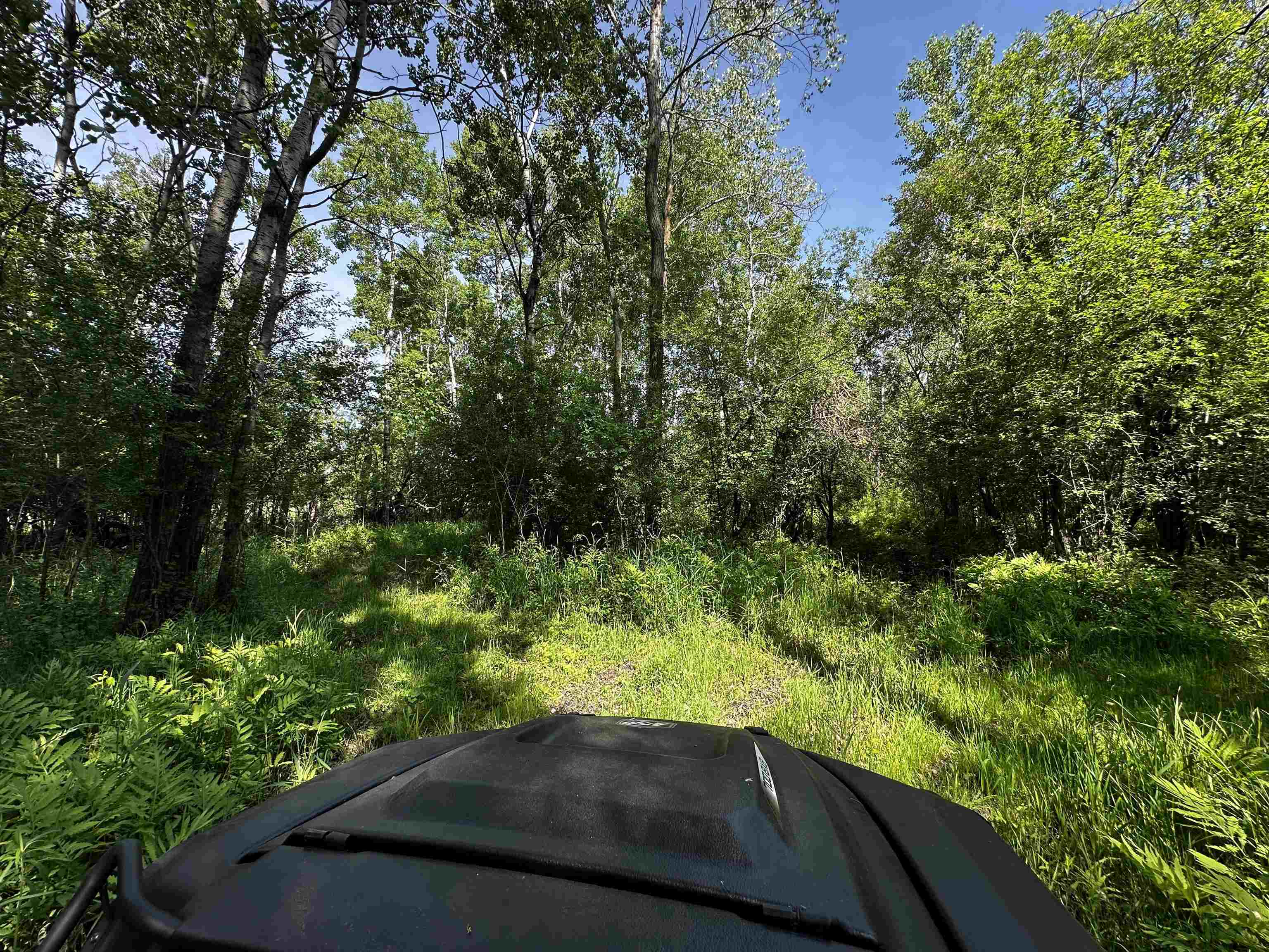 W271 Highway 23 Ripon, WI 54971 - Photo 76 of 88