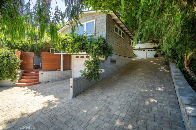 a view of a yard with plants and a large tree