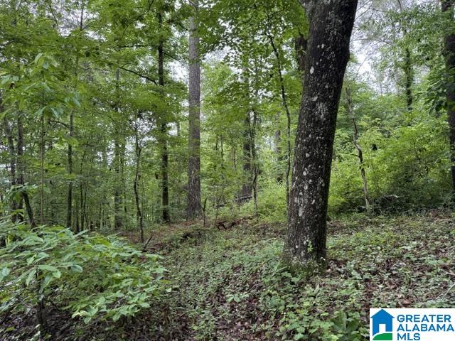 0 Westover Road Sterrett, AL 35147 - Photo 3 of 5 Gallery Image 3