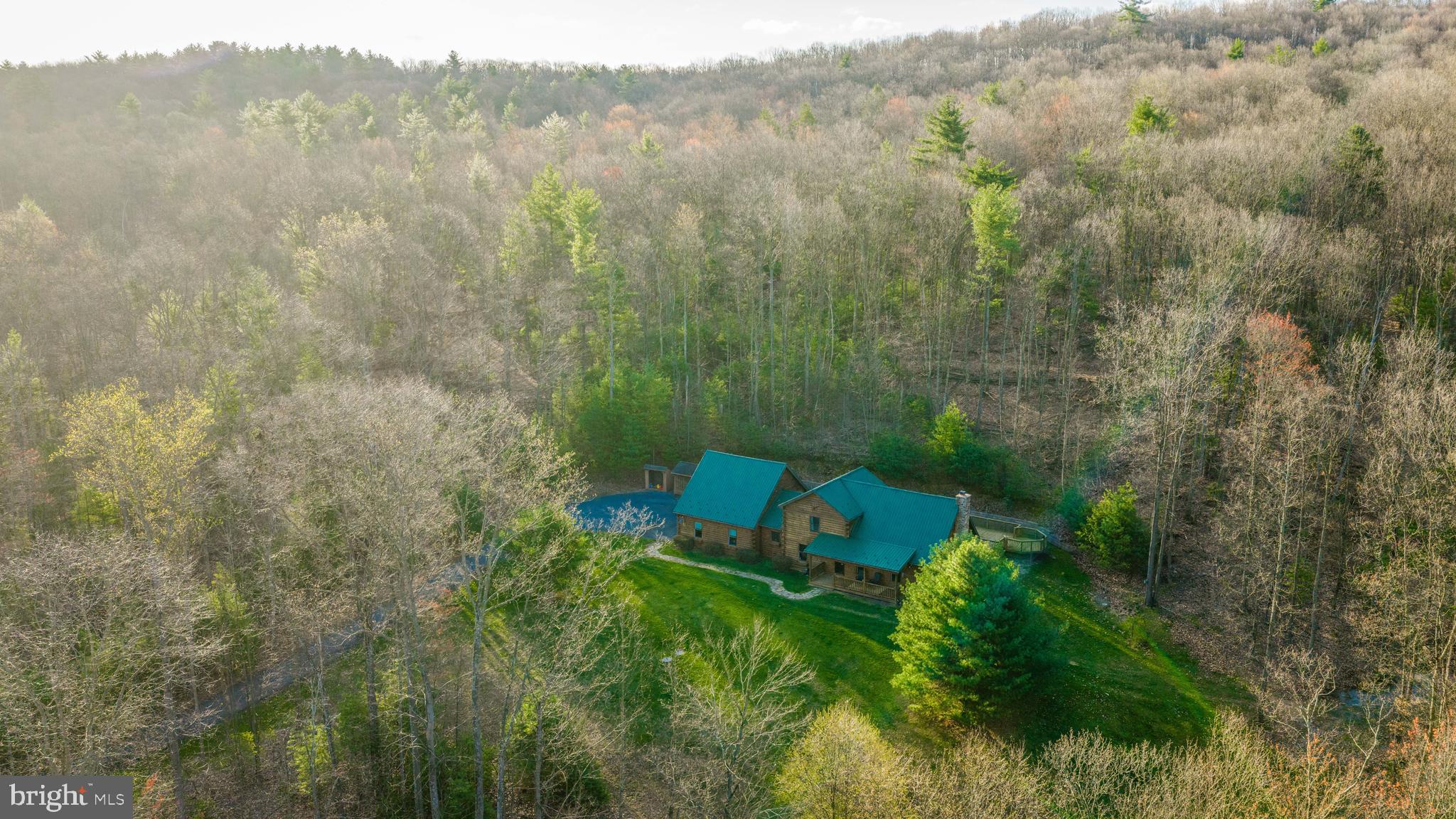 a view of a forest with a forest