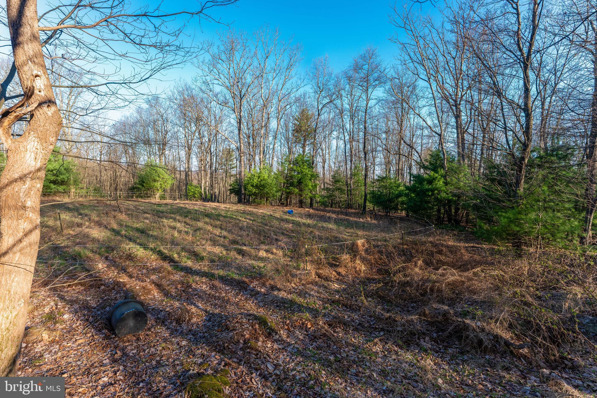 9 Irish Road New Bloomfield, PA 17068 - Photo 42 of 48 a view of backyard with green space