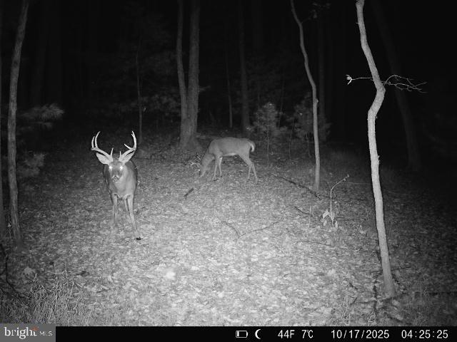 9 Irish Road New Bloomfield, PA 17068 - Photo 48 of 48 a view of a yard