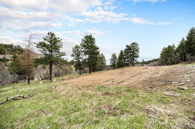 a view of a yard with trees