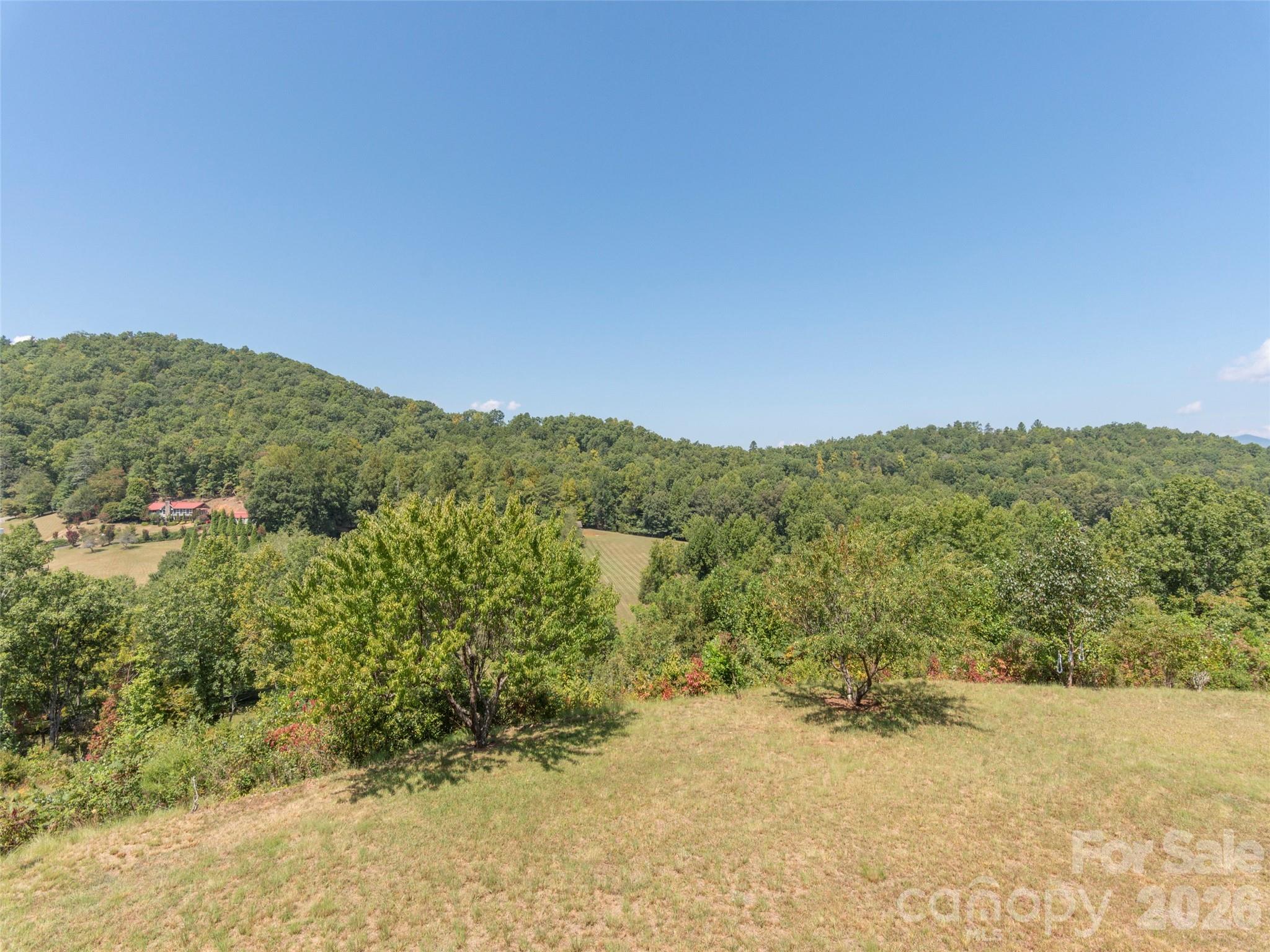 1120 Jacobs Branch Road Franklin, NC 28734 - Photo 27 of 36 a view of a dry yard with mountains in the background
