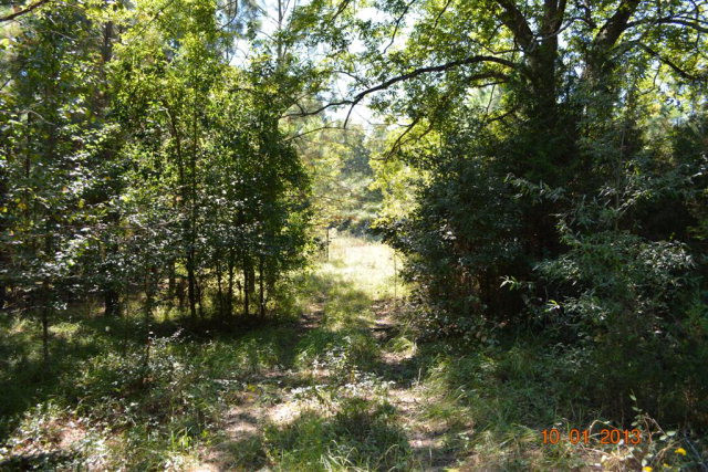 1166 Old Washington Road Thomson, GA 30824 - Photo 2 of 6