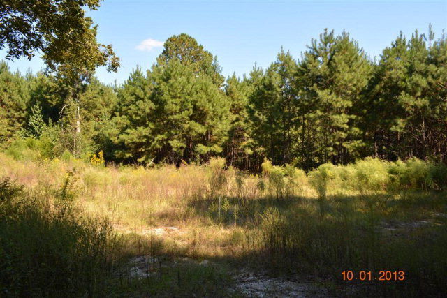 1166 Old Washington Road Thomson, GA 30824 - Photo 3 of 6