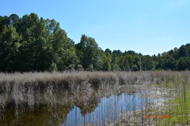 1166 Old Washington Road Thomson, GA 30824 - Photo 4 of 6